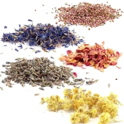 8 bouquets de fleurs séchées décoratives 10 g