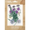 13 fleurs pressées - prairie violette