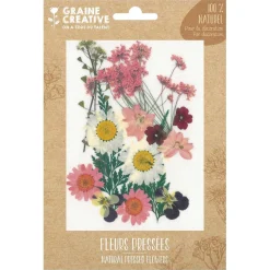 16 fleurs pressées - prairie rose