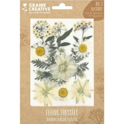 15 fleurs pressées - prairie blanche