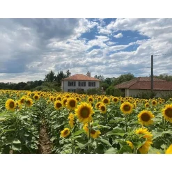 3 jours en famille avec dîner en maison d'hôtes près de Dax - Coffret Cadeau Séjour