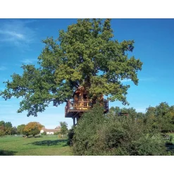 2 jours insolites dans les arbres - Coffret Cadeau Séjour