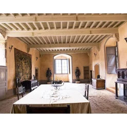 2 jours royaux en suite avec dîner dans un château dans la Loire - Coffret Cadeau Séjour