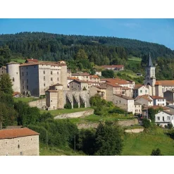 2 jours royaux en suite avec dîner dans un château dans la Loire - Coffret Cadeau Séjour