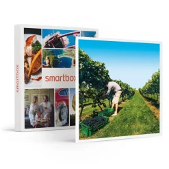 À la découverte de nos vignobles - Coffret Cadeau Gastronomie