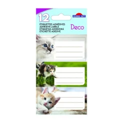 12 étiquettes adhésives scolaires - Rectangle - Photos Chatons