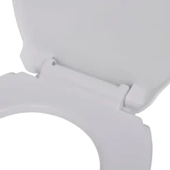 Abattant WC a fermeture en douceur Blanc Ovale