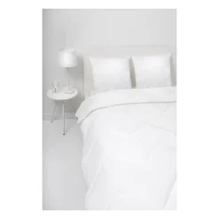 ABEIL Lot de 2 Oreillers a memoire de forme matelasses 60x60 cm blanc