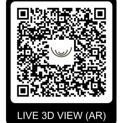 Abri de jardin en bois QBH2 420X300 - traité autoclave en autoclave - 12m2