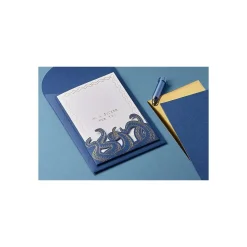 Accessoire Pack vinyle