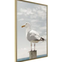 Affiche Murale Encadrée Curious Seagull