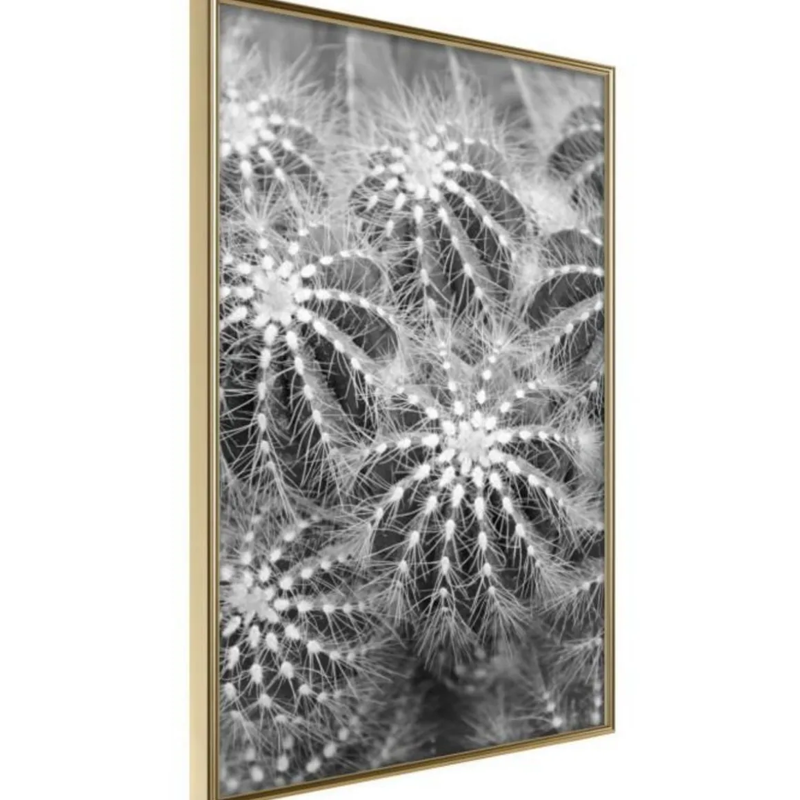 Affiche Murale Encadrée Do Not Touch