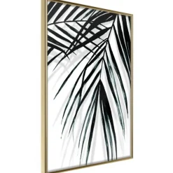 Affiche Murale Encadrée Leaf and Its Shadow