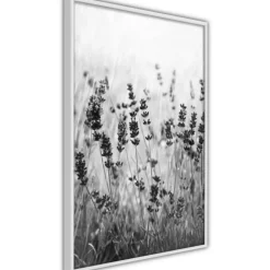 Affiche Murale Encadrée Shadow of Meadow