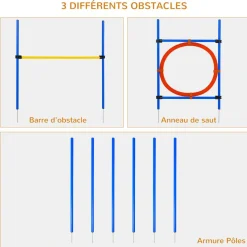 Agility sport pour chiens équipement complet : 6 poteaux slalom, obstacle, anneau + sac de transport bleu jaune rouge