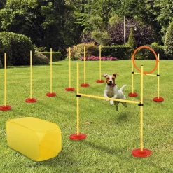 Agility sport pour chiens équipement complet haies, slalom, tunnel + sac de transport jaune