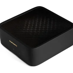 Amplificateur HiFi Model M1