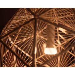 Ampoule LED connectée HUE White E27 75W x2