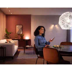 Ampoule LED connectée HUE White E27 75W