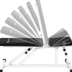 Appareil d'Entraînement Banc de Musculation pour Abdominaux