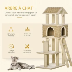 Arbre à chats style cosy chic griffoirs sisal naturel grande niche plateforme échelle jeu boules tourniquet peluche courte cordes d'algues tressées
