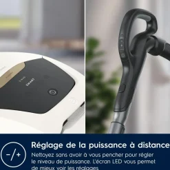 Aspirateur avec sac Pure D8 Allergy PD82-ALRG