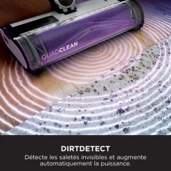 Aspirateur balai Detect IW3612EU