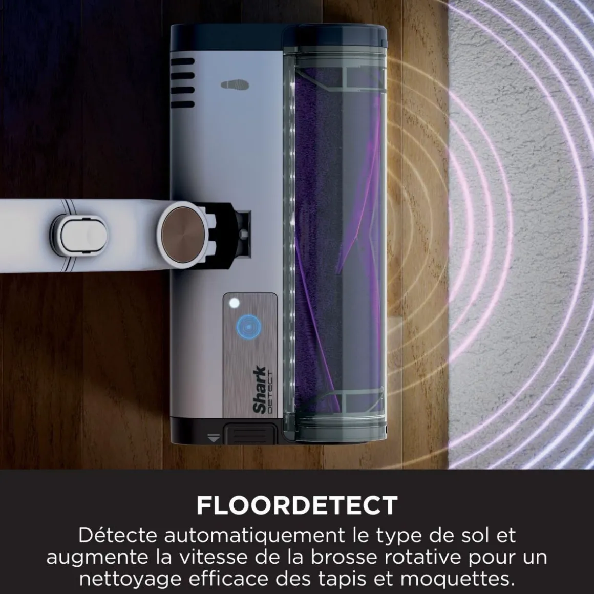 Aspirateur balai Detect IW3612EU