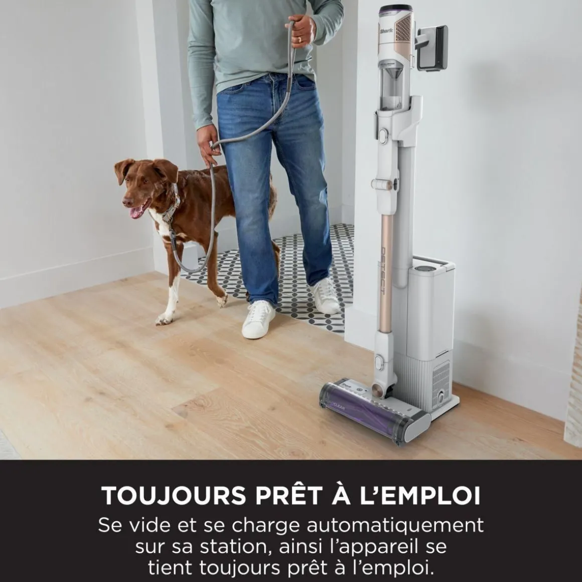 Aspirateur balai Detect IW3612EU