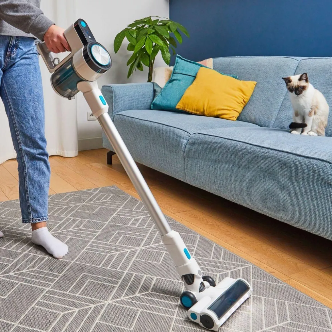 Aspirateur balai EAMU 216 Easy 2