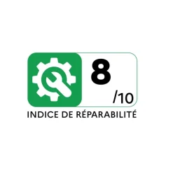 Aspirateur balai sans fil multifonction 18v violet/aluminium - RH6A21WO