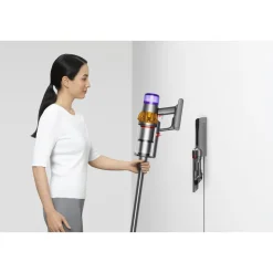 Aspirateur balai V15 DETECT ABSOLUTE - Gris