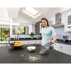 Aspirateur main NVC115W Dustbuster