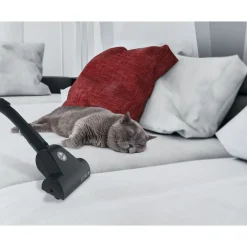 Aspirateur traîneau avec sac spécial animaux BV60PET - Bleu