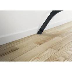 Aspirateur traîneau avec sac spécial animaux BV60PET - Bleu