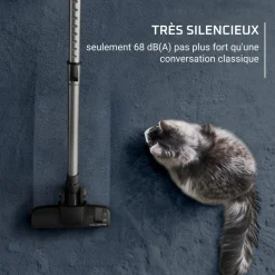 Aspirateur traîneau sans sac RO7C36EA - Noir
