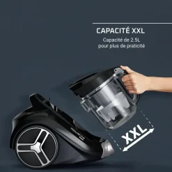 Aspirateur traîneau sans sac RO4B30EA - Gris fumé