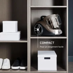 Aspirateur traîneau sans sac RO4B30EA - Gris fumé