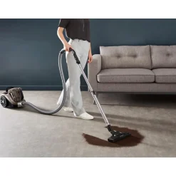 Aspirateur traîneau sans sac RO4B30EA - Gris fumé