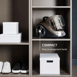 Aspirateur traîneau sans sac RO4B30EA - Gris fumé