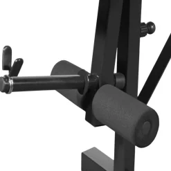 Banc d'entraînement avec support de poids jeu d'halteres 60,5kg