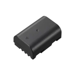 Batterie appareil photo DMW-BLF19E pour GH3-GH4-GH5