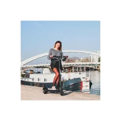 BEEPER Trottinette electrique 8 pouces 350W 6Ah SPEED