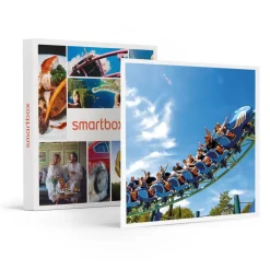 Billet pour le Parc Astérix : 1 entrée adulte en 2025 - Coffret Cadeau Multi-thèmes