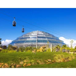 Billet pour le ZooParc de Beauval 2025 : 1 entrée adulte pour 1 journée - Coffret Cadeau Multi-thèmes