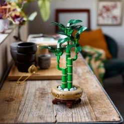 Botanicals 10344 - Le Bambou de la chance