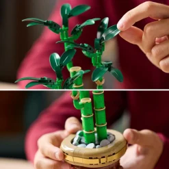 Botanicals 10344 - Le Bambou de la chance