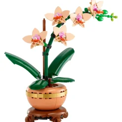Botanicals 10343 - Mini Orchidée