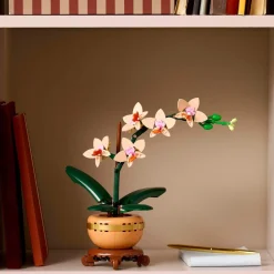 Botanicals 10343 - Mini Orchidée