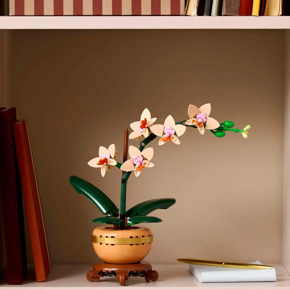 Botanicals 10343 - Mini Orchidée